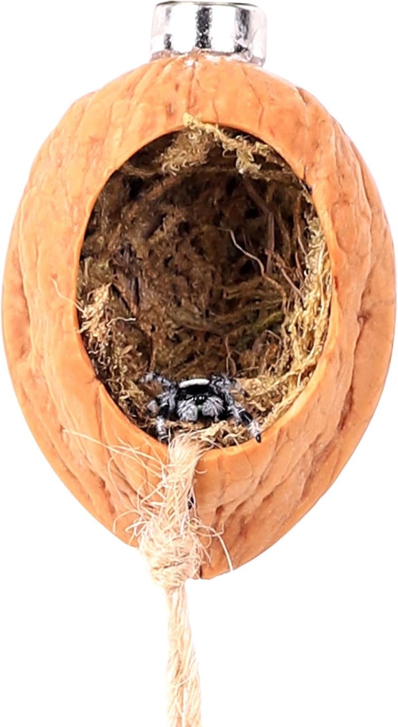 Daerky Walnut Skin Spider Shelter - Magnetic Jumping Spider Habitat, Handmade Enclosure - Image 1